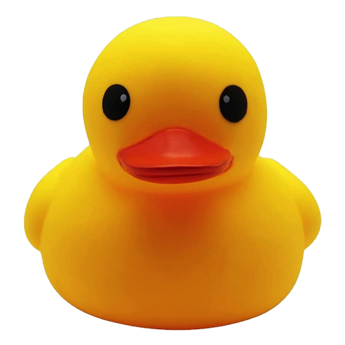 The Duckfriend